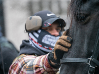 A member of the Ohio Boogaloo Bois pets a police horse during an armed protest at the Ohio Statehouse ahead of the inauguration of President...