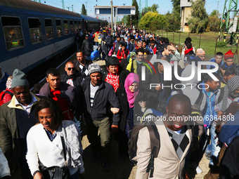 Migrants arrive by train to Hegyeshalom train station near the Hungarian-Austrian border. Hegyeshalom, Hungary. 28 September 2015. A record...