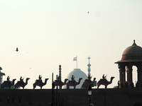Border Security Force (BSF) personnel are seen mounted on camels during the Beating Retreat ceremony rehearsals ahead of the Republic Day pa...