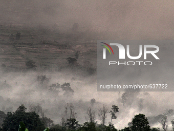 A smoke and dust of volcanic material that covers the trees on the slopes of Mount Sinabung volcano following the latest eruption after foll...