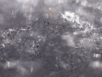 Icy snow crystals in macro image. In Aachen Schleckheim on February 11, 2021.(