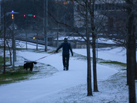 A man walks his dog in Buffalo Bayou Park in Houston, Texas early on the morning of Monday, February 15th after the snow storm.  (