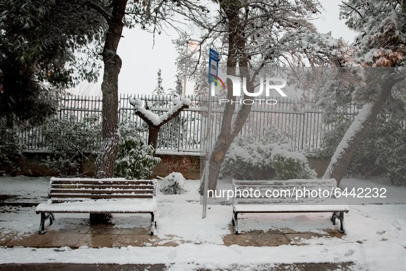 A snow covered bus station in the area of Zografou in Athens, Greece on February 16, 2021. The snowfall called 'Medea' showed up in Greece. 