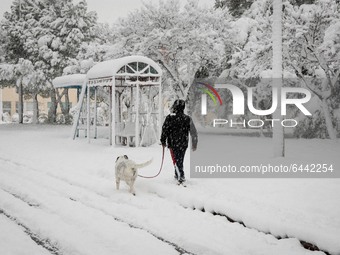 A man with his dog seen walking in the snow in the area of Zografou in Athens, Greece on February 16, 2021. The snowfall called 'Medea' show...