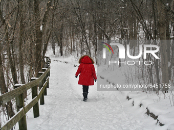 Woman walks along a trail in a park as a snowstorm dropped 10-15 centimeters of snow across the city of Toronto, Ontario, Canada, on Februar...