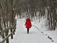 Woman walks along a trail in a park as a snowstorm dropped 10-15 centimeters of snow across the city of Toronto, Ontario, Canada, on Februar...