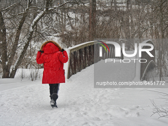 Woman walks across a bridge in a park as a snowstorm dropped 10-15 centimeters of snow across the city of Toronto, Ontario, Canada, on Febru...