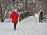Woman walks across a bridge in a park as a snowstorm dropped 10-15 centimeters of snow across the city of Toronto, Ontario, Canada, on Febru...
