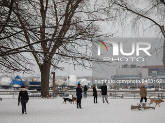 People enjoying the snow near frozen lake at the Coronation Park amid the coronavirus pandemic on February 19, 2021 in Toronto, Canada. (