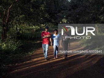 A walk alog Karura Forest, an urban in Nairobi, and one of the bigest urban forests in the world. 
Nairobi, Kenya, on february 28, 2021. (