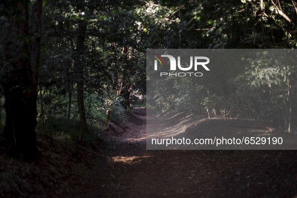A Walk Along Karura Forest, One Of The Biggest Urban Forests In The World, In Nairobi, Kenya, On February 27, 2021. 