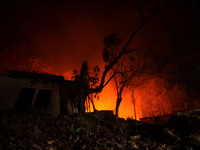 Flames of forest fire is seen on the buffer area of the Similipal Biosphere in Mayurbhanj district near Jashipur, nearby 200km away from the...