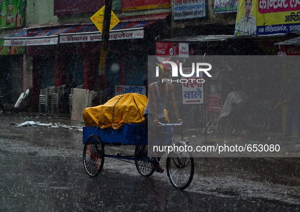 An indian trolly puller rides on trolly during heavy rains,in Allahabad on June 24,2015. 