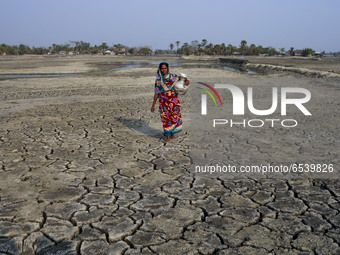 A woman is collecting drinking water, Salinity effect seen in soil as a result trees has died after Cyclone amphan hit in Satkhira, Banglade...