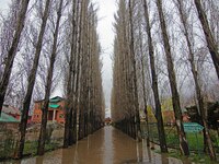 A view of water-logged main entrance of historic Amar Singh College in Srinagar,Kashmir on March 24, 2021.The incessant rain across the vall...