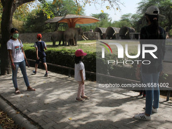 Visitors clicking their pictures in front of an enclosure of elephants at the National Zoological Park in New Delhi on April 1, 2021, on the...