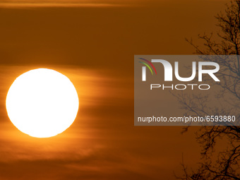 Spring season sunset time in the Netherlands. The Sun, the star of our Solar System as seen as a perfect sphere behind the silhouette of the...