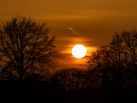 Spring season sunset time in the Netherlands. The Sun, the star of our Solar System as seen as a perfect sphere behind the silhouette of the...