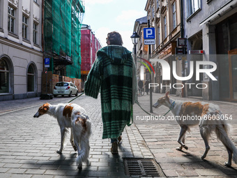 A man is walking the Borzoi dogs in the Old Town in Krakow, Poland on April 2nd, 2021. (
