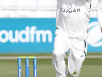  Worcestershire's Brett D'Oliveira   during  Championship Day One of Four between Essex CCC and Worcestershire CCC at The Cloudfm County Gro...