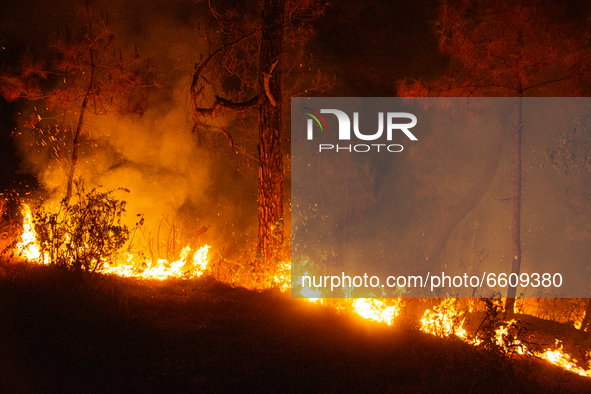 A hill burns during a wildfire in the forest of Nagarkot in Bhaktapur, Nepal on April 11, 2021. 