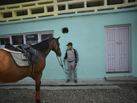 A decorated Nepalese Army's trained horse arrives to take part in Ghode Jatra or the 'Festival of Horse' celebrated at the Army Pavilion, Ka...