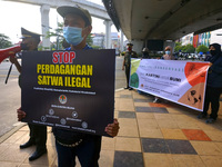 Environmental activists and forest rangers from the Palembang Natural Resources Conservation Agency (BKSDA) held a campaign to commemorate E...