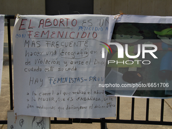 With banners and images and alone, Dr. María de la Luz demonstrated in front of the Chamber of Deputies in Mexico City, Mexico, on April 24,...