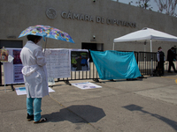 With banners and images and alone, Dr. María de la Luz demonstrated in front of the Chamber of Deputies in Mexico City, Mexico, on April 24,...