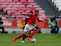 Everton of SL Benfica in action during the Portuguese League football match between SL Benfica and CD Santa Clara at the Luz stadium in Lisb...