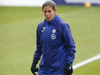 Assistant coach Denise Reddy of Chelsea during  FA Women's Spur League betweenTottenham Hotspur and Chelsea  at The Hive stadium , Barnet ,...