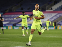 Callum Wilson of Newcastle United celebrates after scoring his sides third goal of the match during the Premier League match between Leicest...