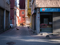 On 11 May, 2021, residents of the Kasimpasa neighborhood of Istanbul, Turkey, loosely followed social distancing measures and a nationwide C...