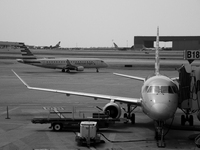 A plane sits ready for passengers to board for flight at Dallas-Fort Worth International Airport on April 12, 2021. As America’s COVID-19 va...