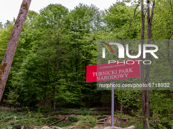 A sign Turnicki National Park should be created here placed by enviromental activists on May 14, 2021 near Arlamow, Carpathians mountains, s...