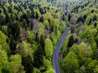 Turnicki forest seen from bird perspective on May 14, 2021 near Arlamow, Carpathians mountains, south-eastern Poland. The Wild Carpathians I...