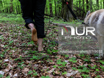 An environmental  activist, Edyta, walks barefoot with her dog on May 14, 2021 near Arlamow, Carpathians mountains, south-eastern Poland. Th...