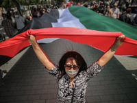 A Tunisian female protester lifts a giant Palestinian flag during a demonstration held by thousands of Tunisian an Palestinian demonstrators...