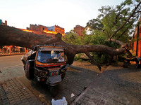  Vehicles damaged under an uprooted tree following a heavy storm at Kishanpole Bazar in Jaipur, Rajasthan, India, Sunday, May 30, 2021.(