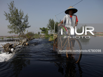 A man wih his bicycle crossing the overflowing polluted Asem Binatul river, in Pekalongan, Central Java province, on June 4, 2021. According...