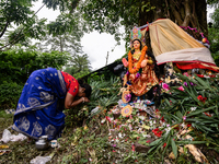 Hindu devotees attend the Bengali Hindu folk traditional festival 'Jamai Shashthi' originated ages ago as a part of a women's socio-religiou...