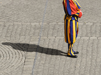 Swiss Guard during Pope Francis weekly general audience in the San Damaso Courtyard at the Vatican, Wednesday, June 16, 2021.  (