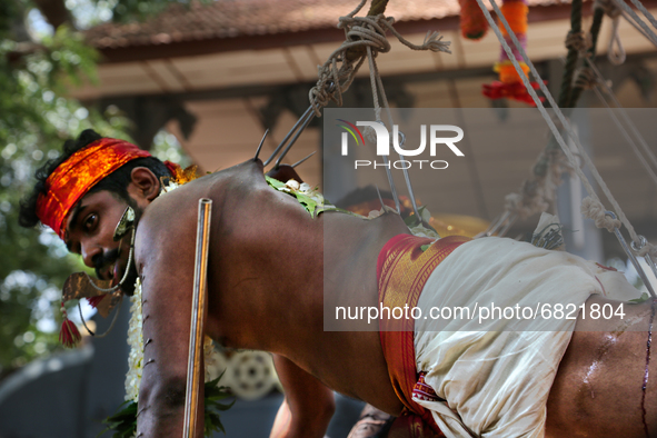 Tamil Hindu devotee performs the para-kavadi ritual (where he is suspended by hooks driven into his back and legs and bounced up and down wh...