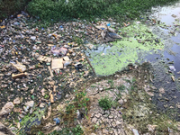 Sewage and rubbish clog a waterway in Anayara, Pattom, Thiruvananthapuram (Trivandrum), Kerala, India on February 10, 2020. (
