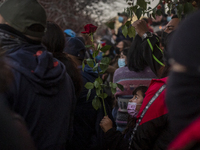 A girl holds a rose in the middle of the funeral of Luisa Toledo Sepulveda, mother of brothers Rafael(18) and Eduardo Vergara Toledo(19).  M...