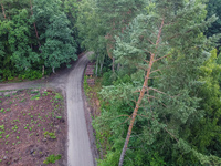 Aerail view of the mass forest clearance place is seen in Otomin, Poland on 8 July 2021 Environmentalists are alarming that the Polish State...