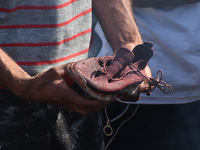 A Kashmiri man holds blood soaked shoes believed to be of one of slain militants inside the damaged residential house where two Militants we...