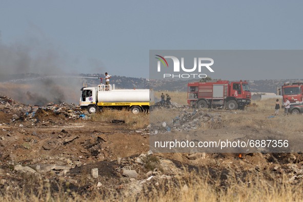 Firefighting forces fighting bushfires near Thessaloniki. The firefighting forces include firefighters, fire department vehicle, municipalit...