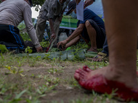 Workers slaughter a goat for sacrifice in Pombewe Village, Sigi Regency, Central Sulawesi Province, Indonesia on July 20, 2021. In addition...