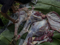 A worker arranges cuts of meat after slaughtering
a goat for sacrifice in Pombewe Village, Sigi Regency, Central Sulawesi Province, Indones...